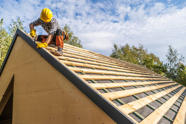 Best Flat Roof Repair Services  in Roxborough Park, CO